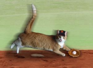 野球猫