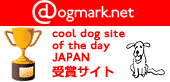 cool dog site of the day JAPAN