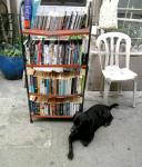 bookstore-dog.jpg