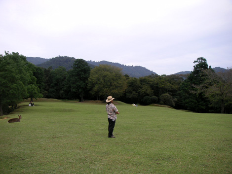 奈良公園006