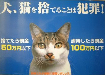 animal_poster.jpg