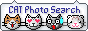 CAT Photo Search