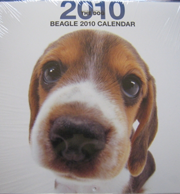 beagle calendar