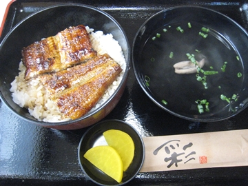 魚竹