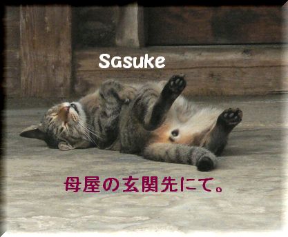sasuke1.jpg