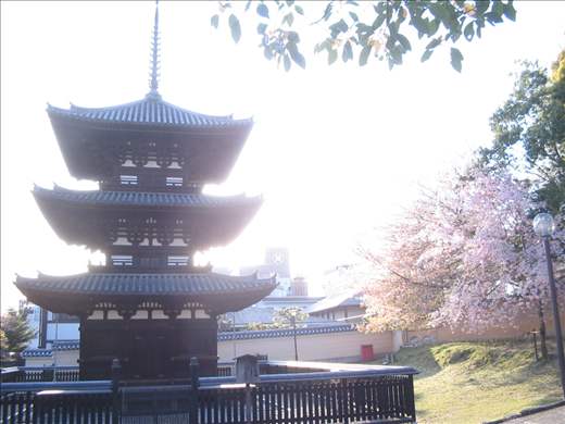 興福寺三重の塔