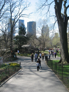 Central park 2010 Spring 1
