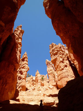 Bryce Canyon National Park 4