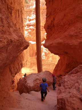 Bryce Canyon National Park 5