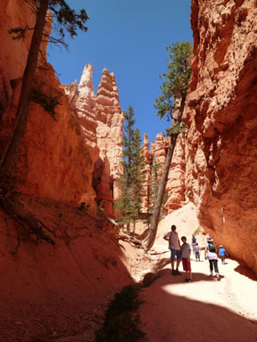 Bryce Canyon National Park 9