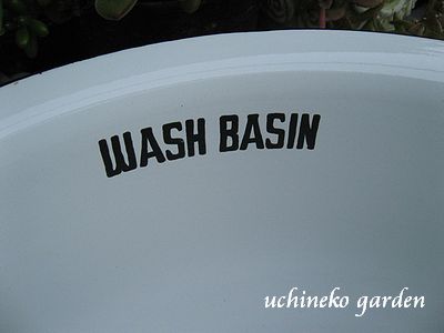 WASH BASIN