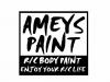 ameys paint