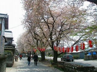 甘楽桜祭り 013