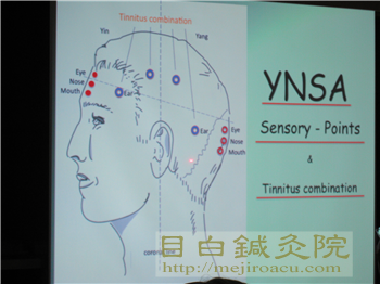 YNSA20111114理論スライドの様子
