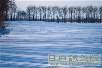 帯広鍼灸研修2012冬（３日目）3