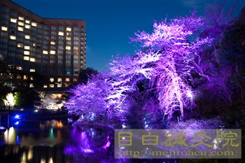 20120405夜桜見物2