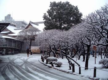 湯島天神　雪