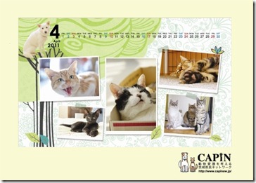 capin-calendar2