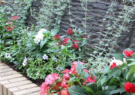 T’s Garden Healing Flowers‐夏花壇の植え込み