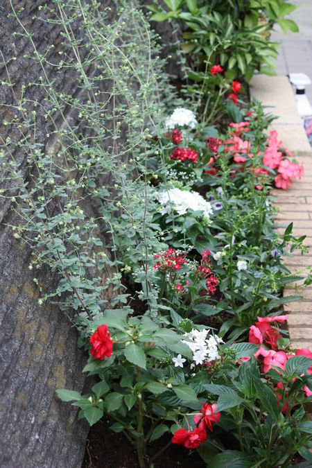 T’s Garden Healing Flowers‐夏花壇の植え込み