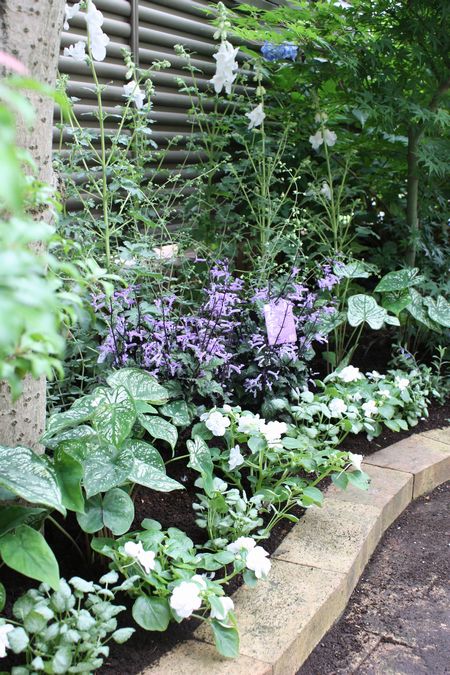 T’s Garden Healing Flowers‐夏花壇の植え込